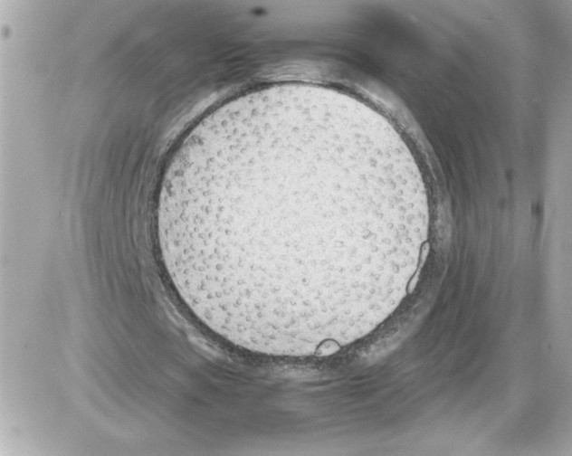 X0000085210529200704091908