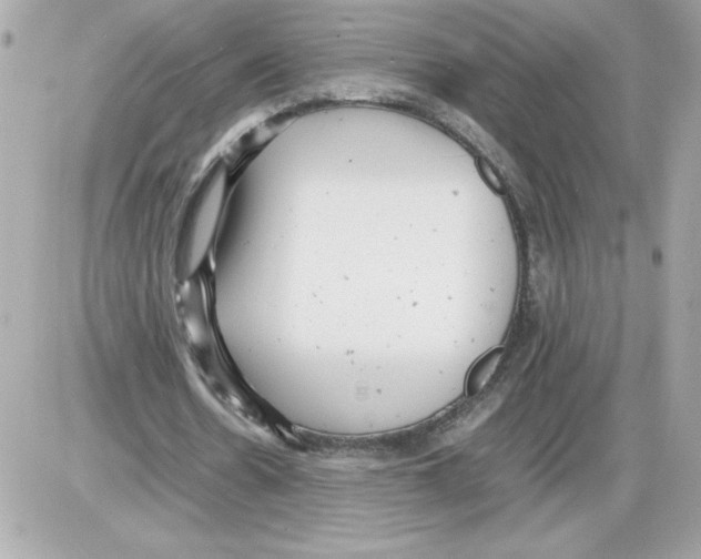 X0000085210530200704091908