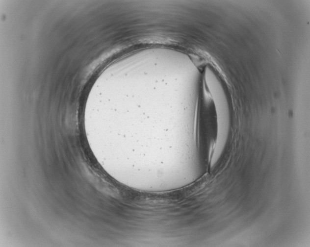 X0000085210531200704091909