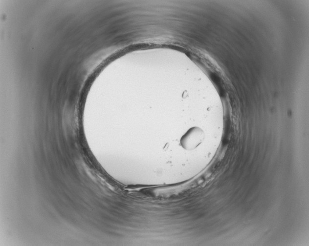 X0000085210532200704091909