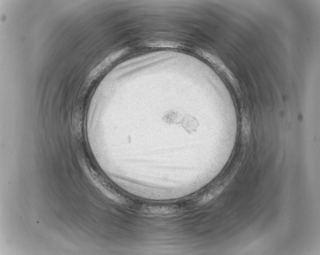 X0000085210533200704091909