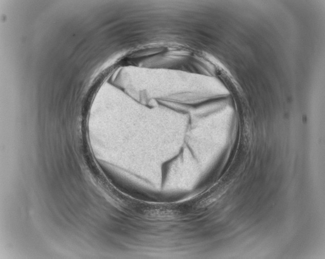 X0000085210535200704091909