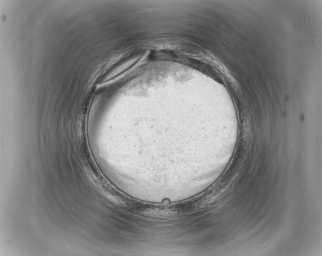 X0000085210537200704091909