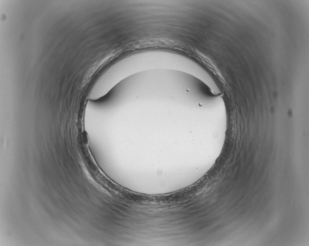 X0000085210538200704091909