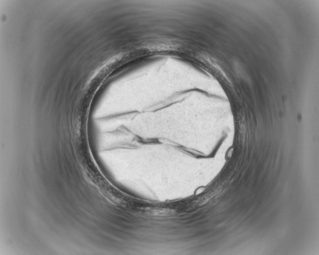 X0000085210539200704091909