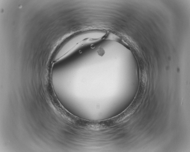 X0000085210540200704091909