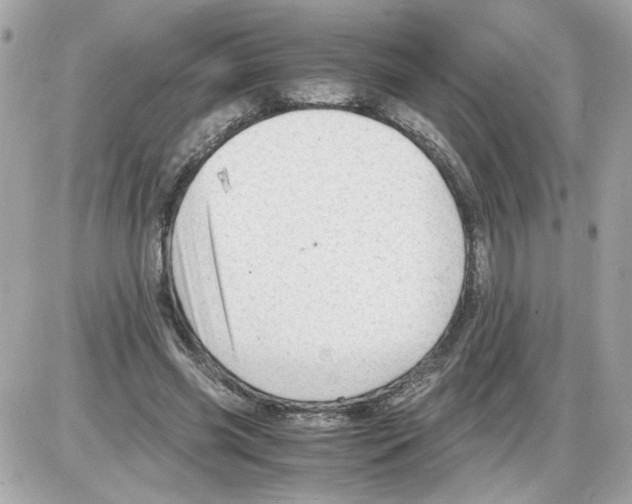 X0000085210541200704091909