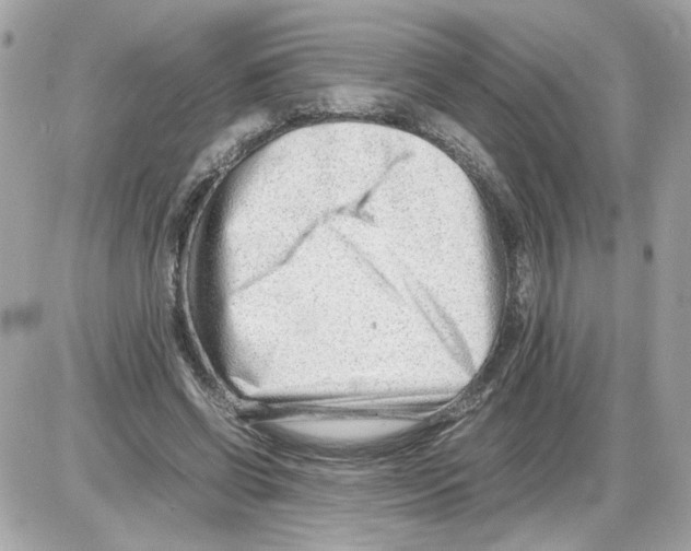 X0000085210542200704091909