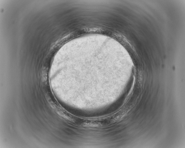 X0000085210545200704091909