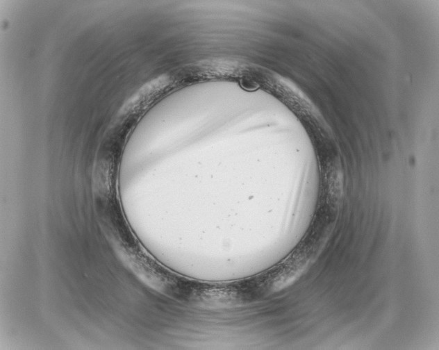 X0000085210546200704091909