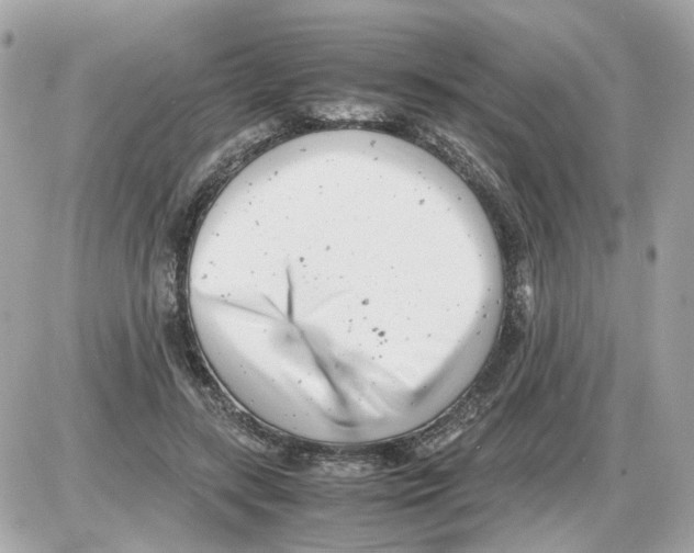 X0000085210547200704091909