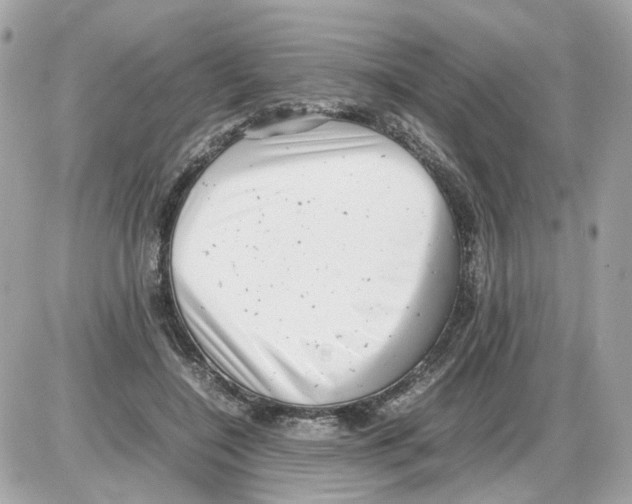 X0000085210548200704091909