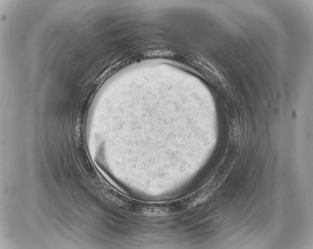 X0000085210549200704091909