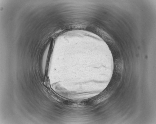 X0000085210550200704091909