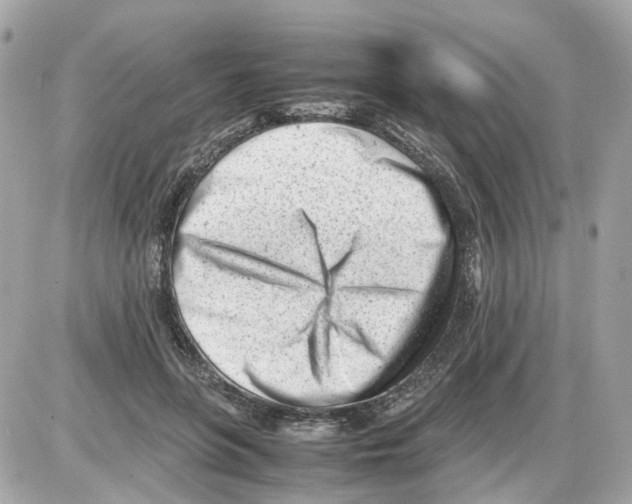 X0000085210551200704091909