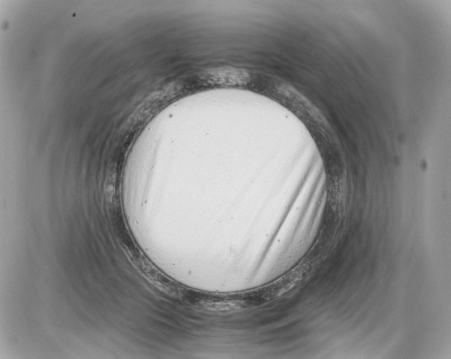 X0000085210553200704091909