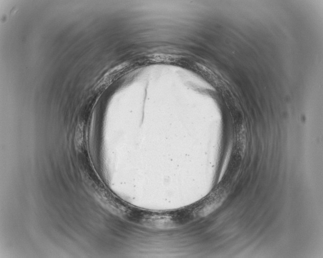 X0000085210554200704091909