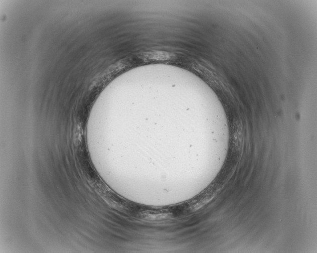 X0000085210555200704091909