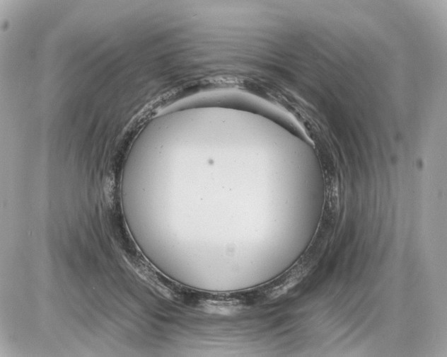 X0000085210556200704091909