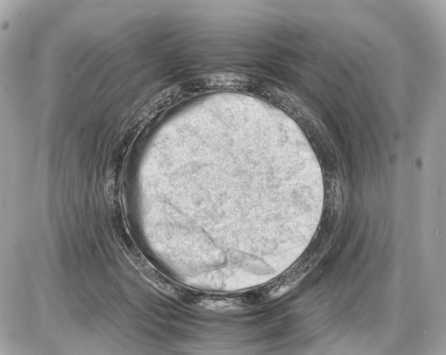 X0000085210557200704091909