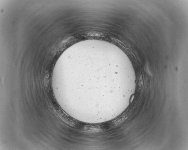 X0000085210559200704091909