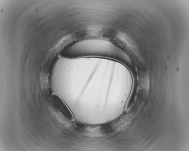 X0000085210560200704091909