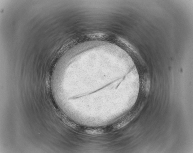 X0000085210561200704091909