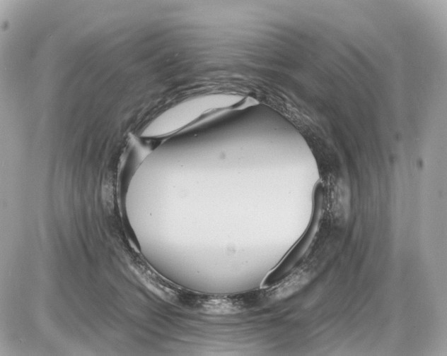 X0000085210562200704091909