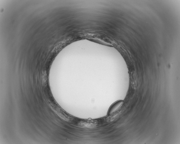 X0000085210563200704091909