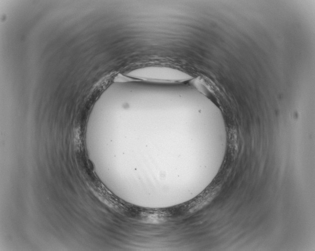 X0000085210564200704091909