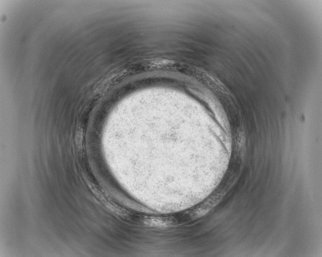 X0000085210565200704091909