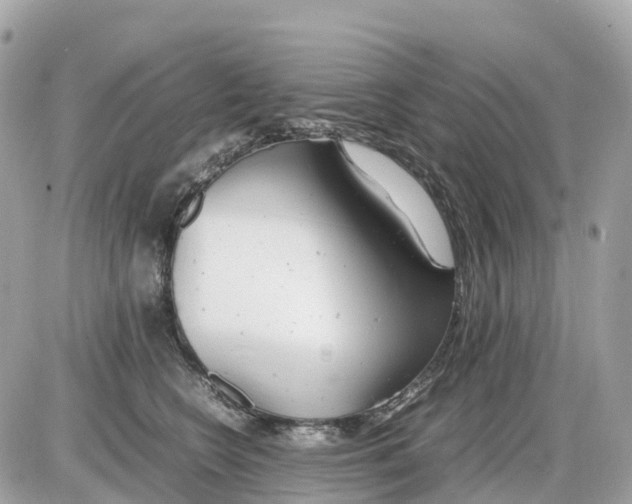 X0000085210566200704091909