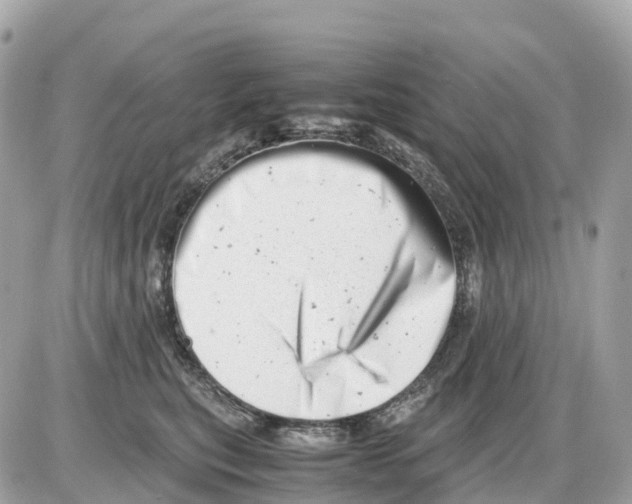 X0000085210567200704091909