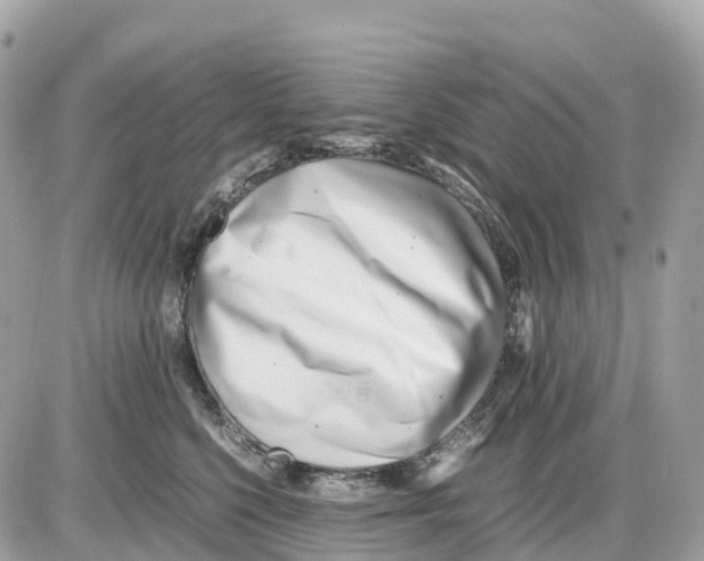 X0000085210568200704091909