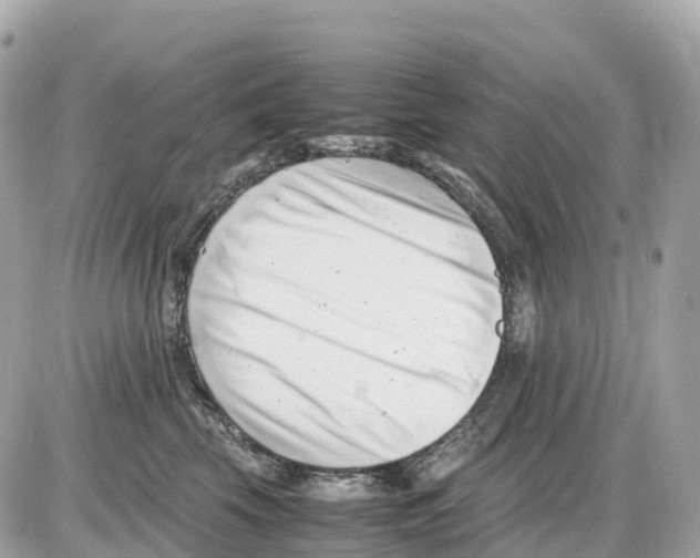 X0000085210569200704091909