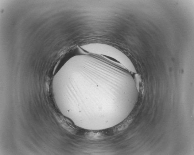 X0000085210570200704091909