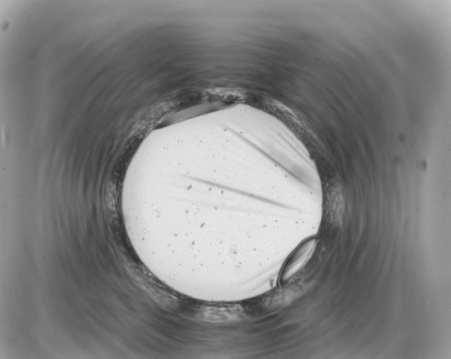 X0000085210571200704091909