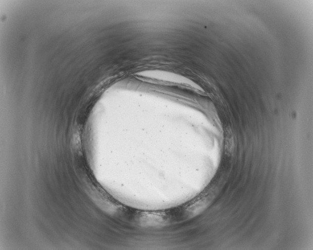 X0000085210573200704091909