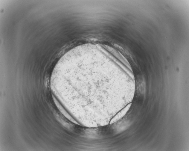 X0000085210574200704091909