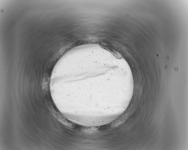 X0000085210576200704091909