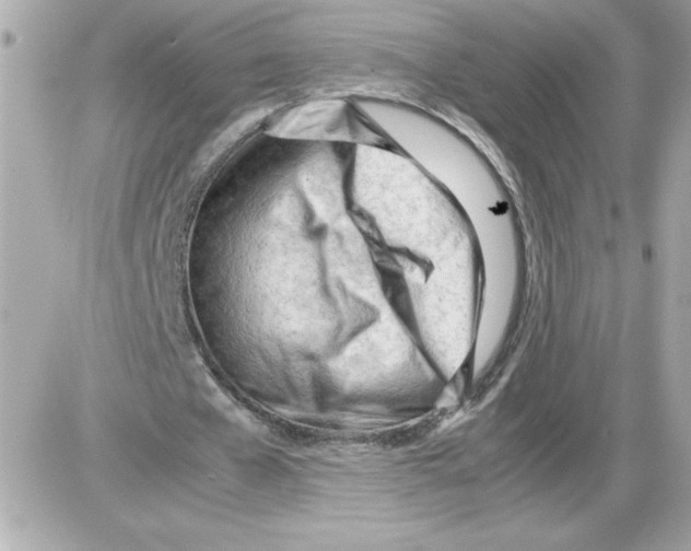 X0000085210577200704091908