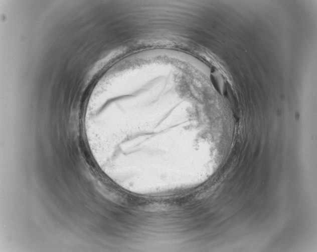 X0000085210578200704091908