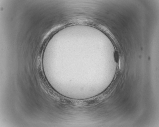 X0000085210579200704091908