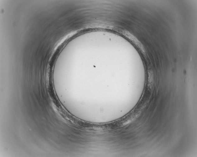 X0000085210580200704091908