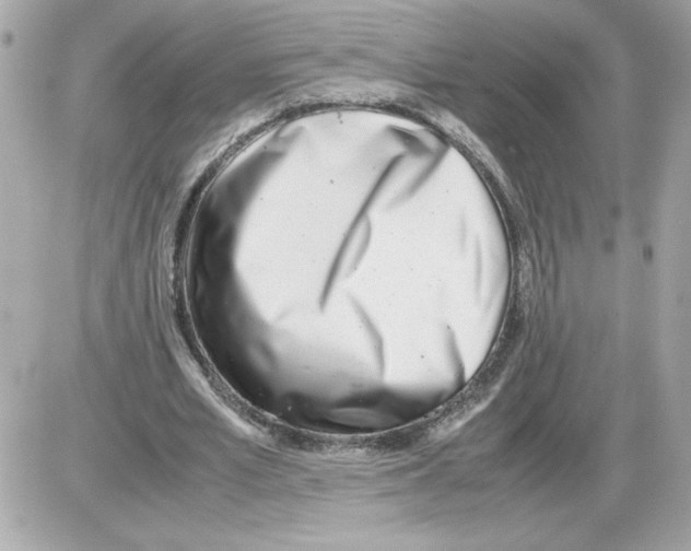 X0000085210581200704091908