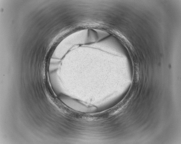 X0000085210582200704091908