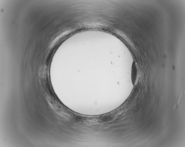 X0000085210583200704091908