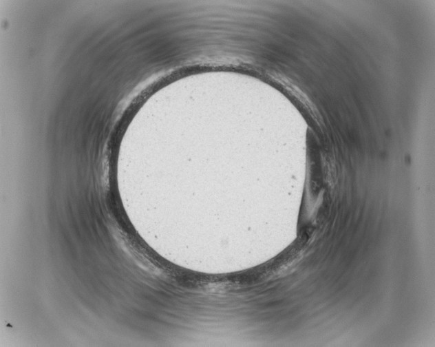 X0000085210584200704091908