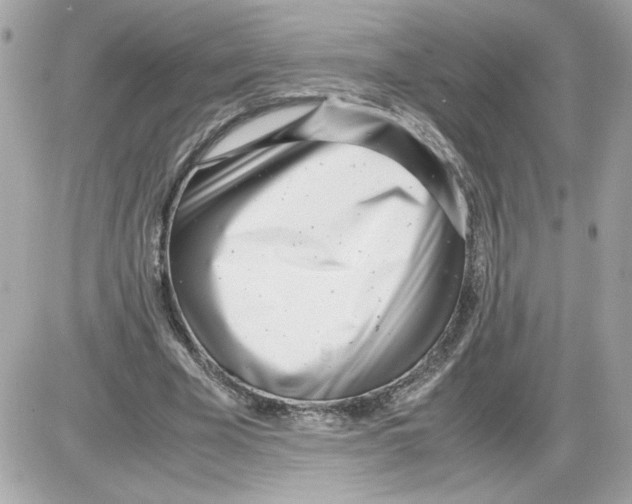 X0000085210585200704091908