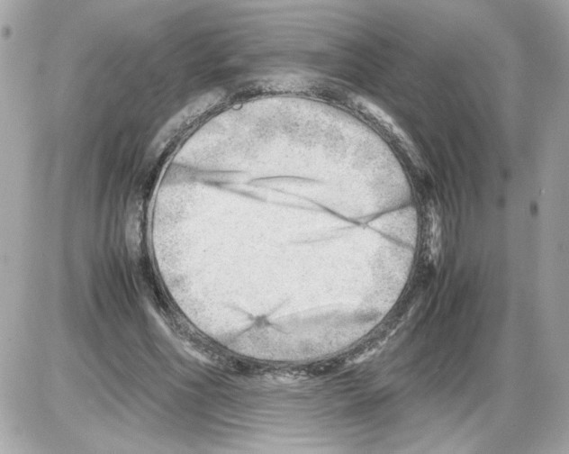 X0000085210586200704091908